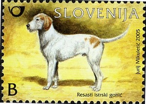 Colnect-708-484-Fauna---The-Istrian-Rough-coated-Hound.jpg