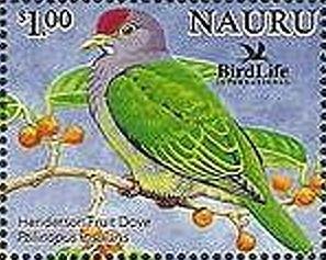 Colnect-1222-669-Henderson-Fruit-dove-Ptilinopus-insularis.jpg