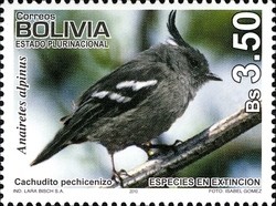 Colnect-1415-630-Ash-breated-Tit-tyrant-Anairetes-alpinus-.jpg