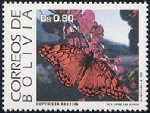 Colnect-2102-197-Mexican-Fritillary-Euptoieta-hegesia.jpg