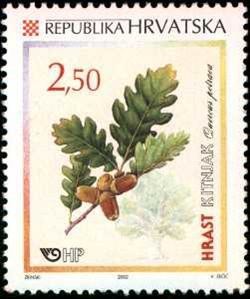 Colnect-355-556-HRAST-KITNJAK-QUERCUS-PETRAEA.jpg