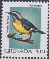 Colnect-4189-533-Bananaquit-Coereba-nbsp-flaveola.jpg