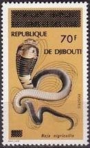 Colnect-996-972-Black-necked-Spitting-Cobra-Naja-nigricollis.jpg