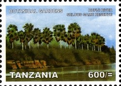 Colnect-1692-565-Rufiji-River-Selous-Game-Reserve.jpg