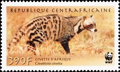 Colnect-4383-474-African-Civet%C2%A0Civettictis-civetta.jpg