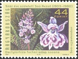 Colnect-612-063-Dactylorhiza-fuchsii-subs-sooana.jpg