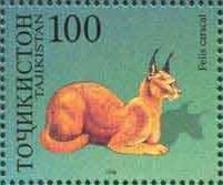 Colnect-1098-668-Carakal-Caracal-caracal.jpg