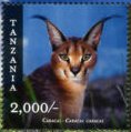 Colnect-3056-856-Carakal-Caracal-caracal.jpg