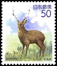 Colnect-822-113-Hokkaido-Sika-Cervus-nippon-yesoensis.jpg