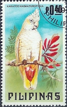 Colnect-874-818-Philippine-Cockatoo-Cacatua-haematuropygia.jpg