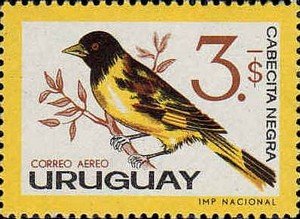 Colnect-491-714-Hooded-Siskin-Carduelis-magellanica.jpg