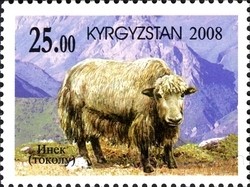 Colnect-1535-200-Tokolu-Yak-Bos-mutus.jpg