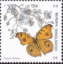 Colnect-1400-429-Peacock-Pansy-Precis-almana.jpg