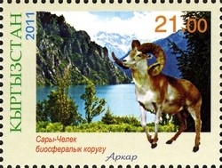 Colnect-1535-298-Sary-Chelek-Argali-Ovis-ammon-ammon.jpg