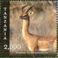 Colnect-3056-861-Gerenuk-Litocranius-walleri.jpg