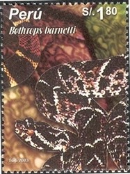 Colnect-1557-465-Barnett--s-Lancehead-Bothrops-barnetti.jpg