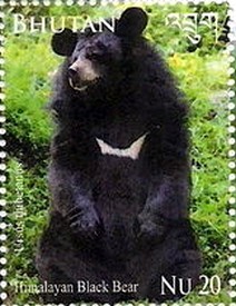 Colnect-2461-127-Himalayan-Black-Bear-Ursus-thibethanus.jpg