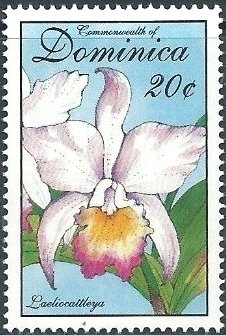 Colnect-2920-156-Laelio-cattleya.jpg