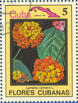 Colnect-674-920-Lantana-camara.jpg