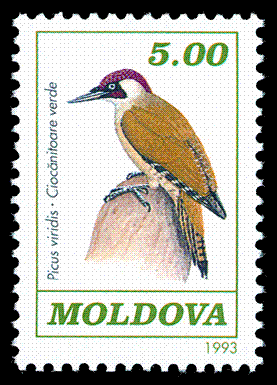 Stamp_of_Moldova_172.gif