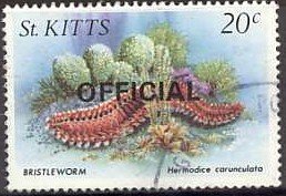 Colnect-1001-573-Bristleworm---overprinted.jpg