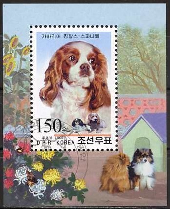 Colnect-1244-729-Cavalier-King-Charles-Spaniel-Canis-lupus-familiaris.jpg