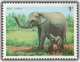 Colnect-1631-623-Asian-Elephant-Elephas-maximus.jpg