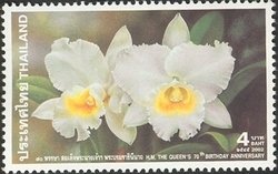 Colnect-1667-758-Cattleya--Queen-Sirikit-.jpg