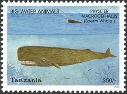 Colnect-1690-100-Sperm-Whale-Physeter-macrocephalus.jpg