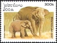 Colnect-2785-383-Asian-Elephant-Elephas-maximus.jpg