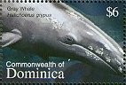 Colnect-3262-626-Grey-Whale-Eschrichtius-robustus.jpg