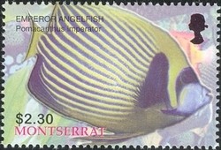 Colnect-1538-367-Emperor-Angelfish-Pomacanthus-imperator.jpg