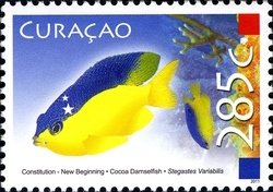 Colnect-1629-023-Cocoa-Damselfish-Stegastes-variabilis.jpg