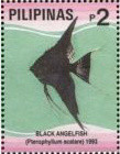 Colnect-2976-641-Black-Angelfish-Pterophyllum-scalare.jpg