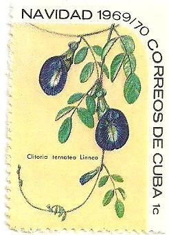 Colnect-1726-376-Clitoria-ternatea.jpg