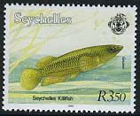 Colnect-1727-797-Seychelles-Killifish-Pachypanchax-playfairi.jpg