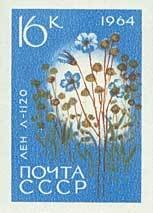 Colnect-193-849-Flax-Linum-usitatissimum.jpg