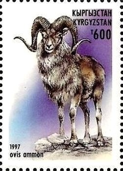 Colnect-2653-848-Argali-Ovis-ammon-ammon.jpg