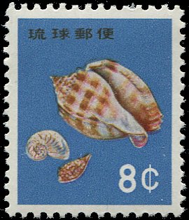 Colnect-5059-857-Banded-Bonnet-Phalium-bandatum-Chambered-Nautilus.jpg