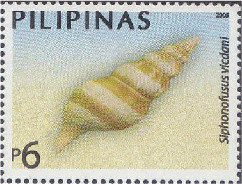 Colnect-2888-698-True-Whelk-Siphonofusus-vicdani.jpg