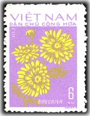 Colnect-1625-623-Yellow-Chrysanthemum.jpg