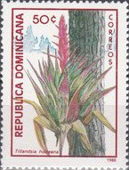 Colnect-3134-964-Tillandsia-hotteana.jpg