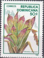 Colnect-3134-966-Tillandsia-compacta.jpg