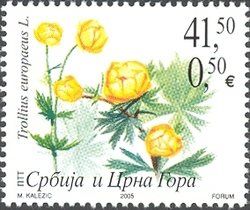 Colnect-532-743-Trollius-europaeus-L.jpg