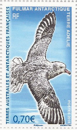 Colnect-3199-282-Southern-Fulmar-Fulmarus-glacialoides.jpg