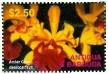 Colnect-1773-945-Cattleya-Amber-Glow-synLaeliocattleya-Amber-Glow.jpg