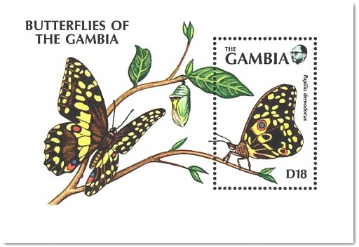 Colnect-1975-639-Citrus-Swallowtail-Papillio-demodocus.jpg