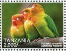 Colnect-3056-873-Fischer--s-Lovebird-Agapornis-fischeri.jpg