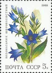 Colnect-581-800-Giant-Bellflower-Campanula-latifolia.jpg