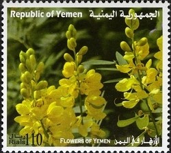 Colnect-960-975-Flowers-of-Yemen.jpg